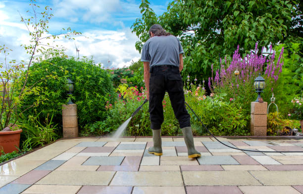 Best Driveway Pressure Washing  in Dos Palos, CA